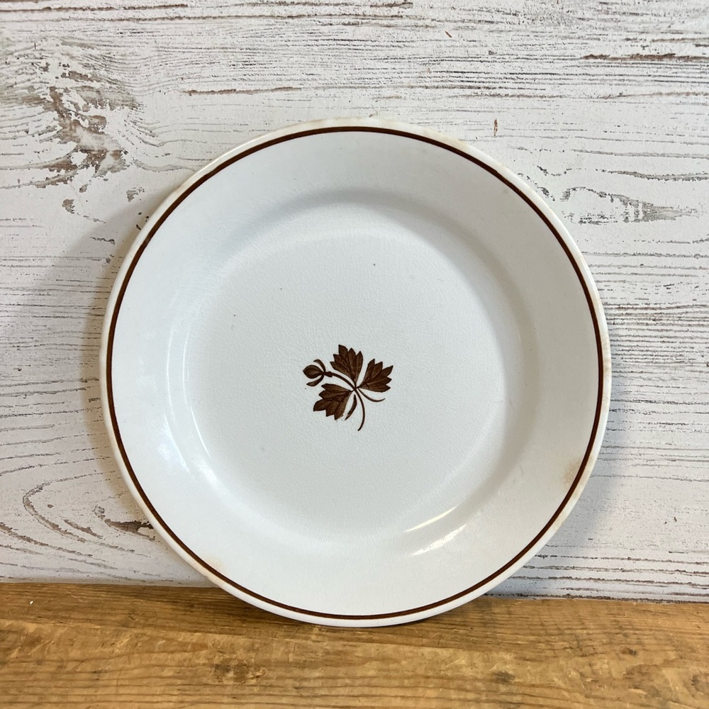 Vintage ironstone tea leaf plate Alfred meakin decor